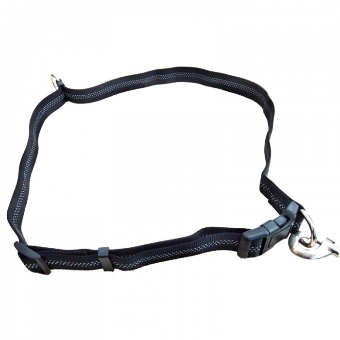 Reflective Nylon Hands Free Dog Leash Lead