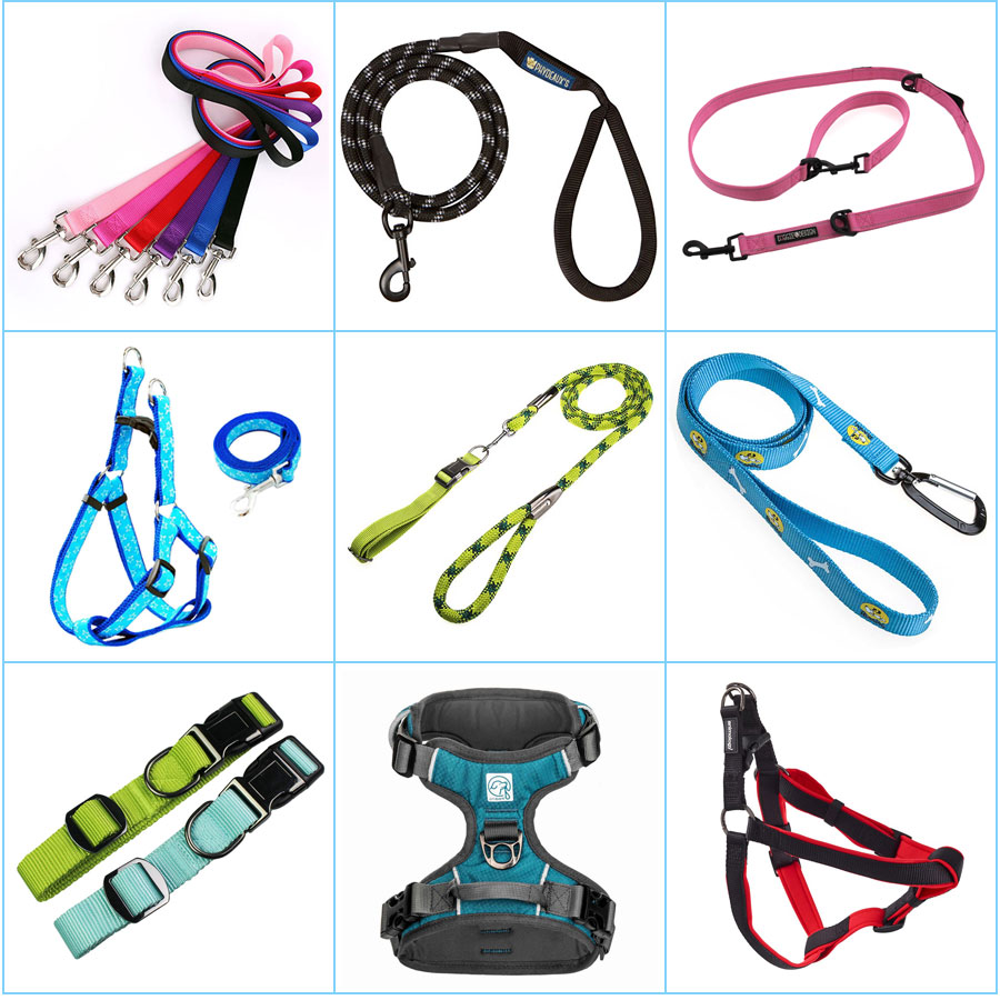 Nylon Buckle Dog Collars And Leashes