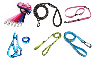 what is the best dog leash