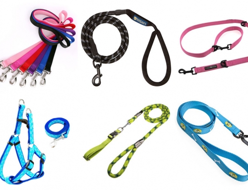 What Is The Best Dog Leash