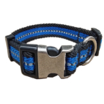Customized Durable Adjustable Metal Buckle Dog Collar for Small Medium Large Dogs
