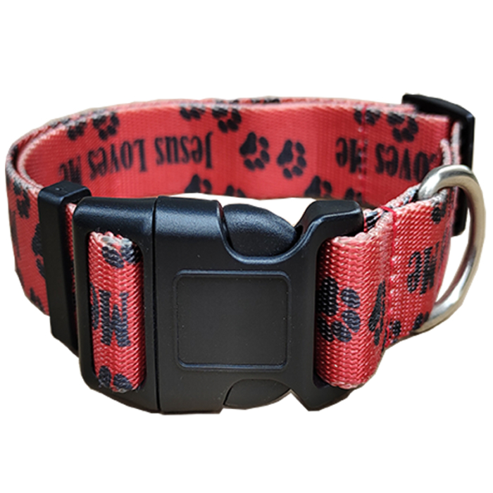 colorful dog collar